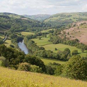 Wye Valley view