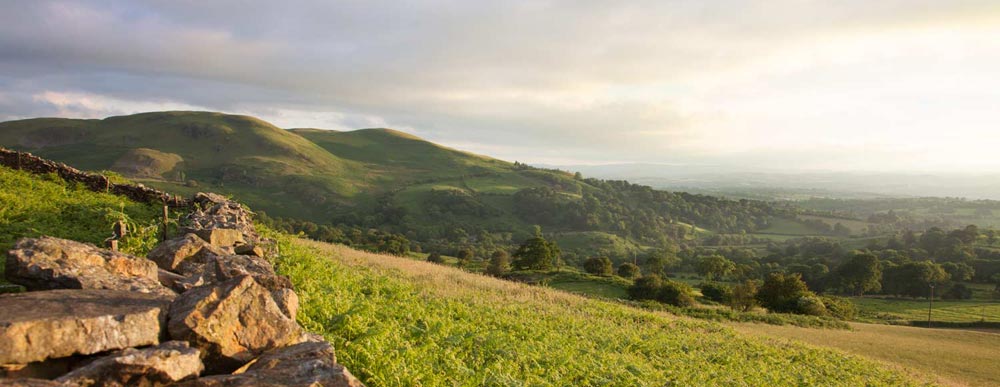 Evening sun on Carnaddau Carneddau evening sun