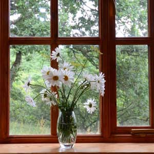 Window view